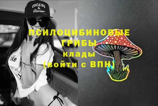 сатива Остров