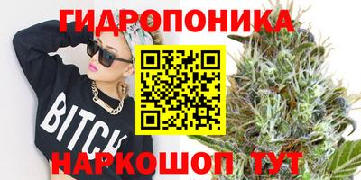 ПСИЛОЦИБИНОВЫЕ ГРИБЫ Гагарин