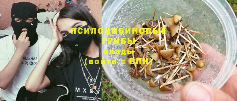 Псилоцибиновые грибы MAGIC MUSHROOMS  блэк спрут вход  это состав  Отрадное 