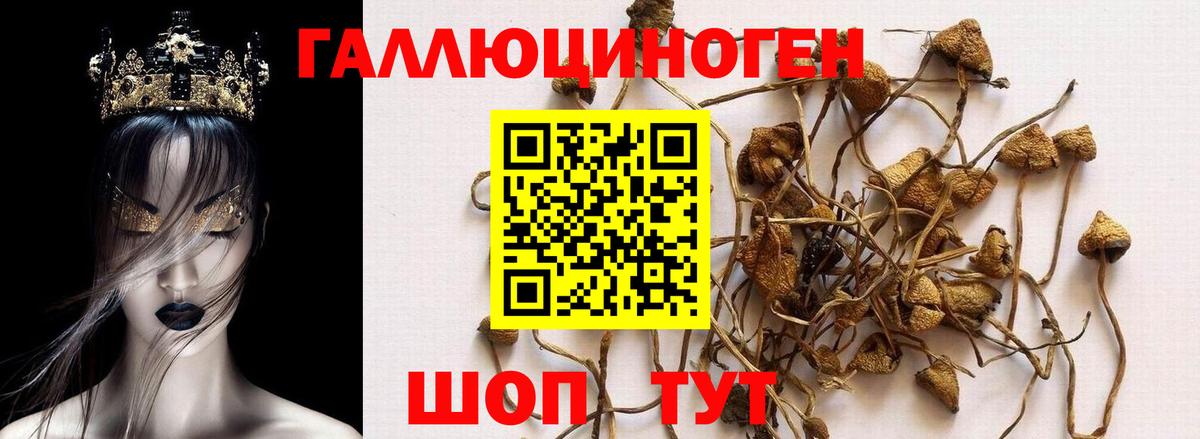 Псилоцибиновые грибы Magic Shrooms Отрадное