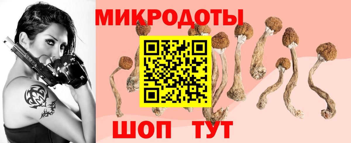 Галлюциногенные грибы Psilocybine cubensis Отрадное