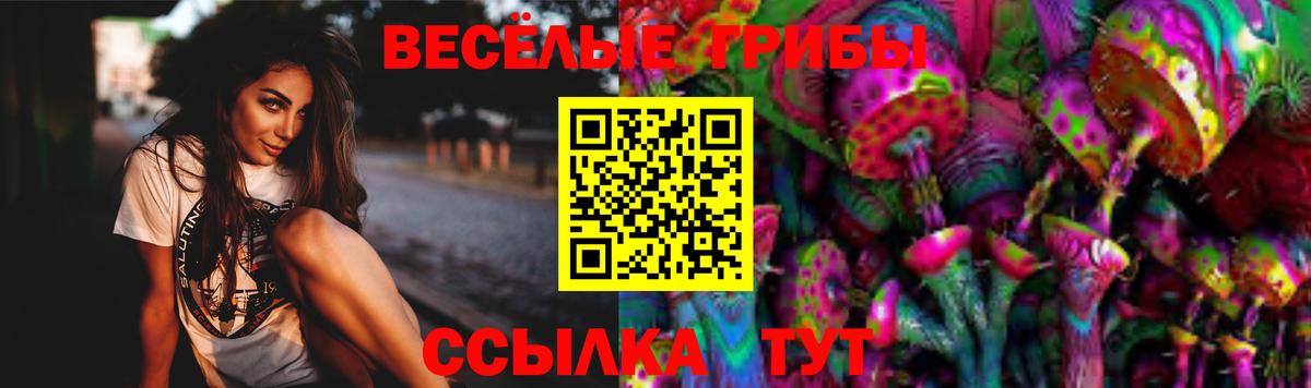 Галлюциногенные грибы Psilocybe  Отрадное  Галлюциногенные грибы Psilocybine cubensis 