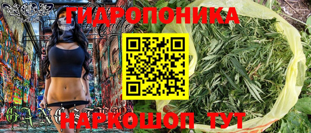 Бошки марихуана планчик  Шишки марихуана OG Kush  Канабис AK-47  Каннабис MAZAR  Отрадное 